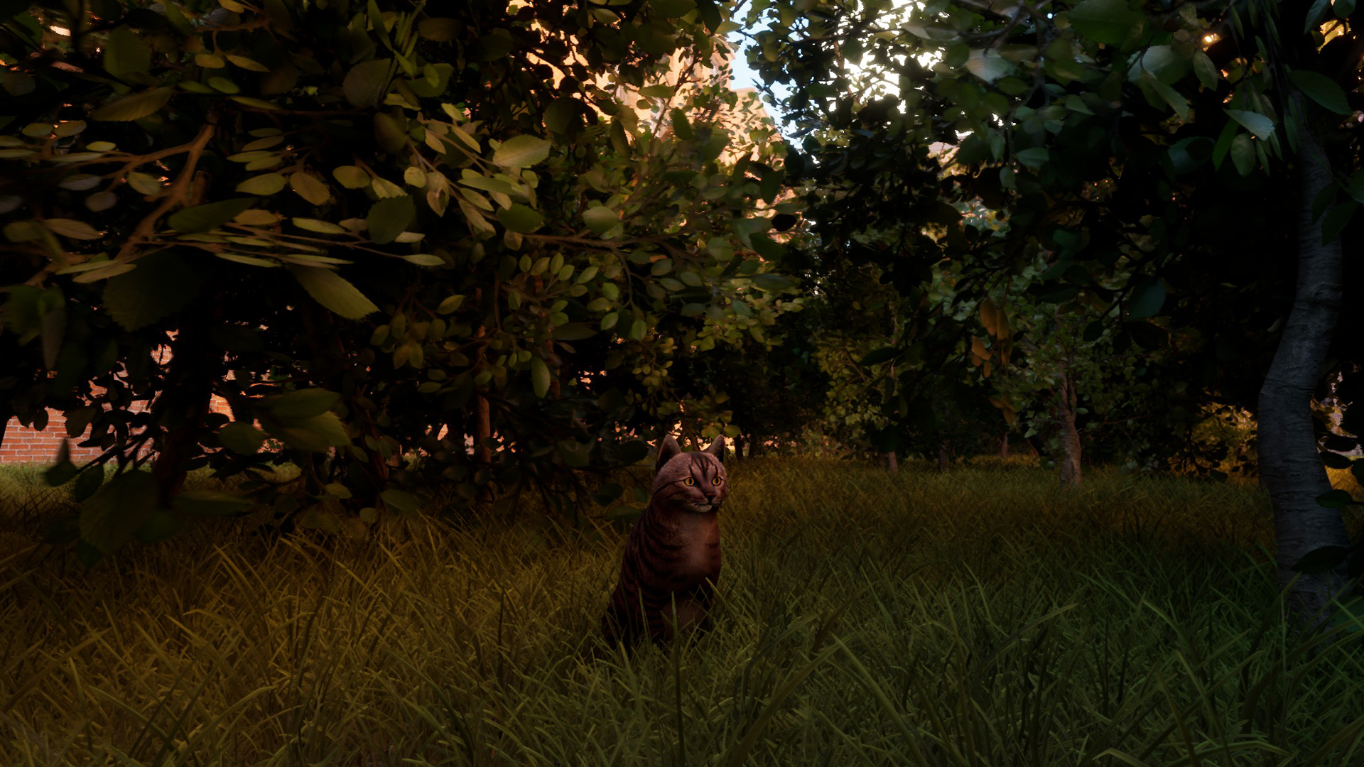 hide under bushes