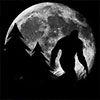 Search 4 Bigfoot