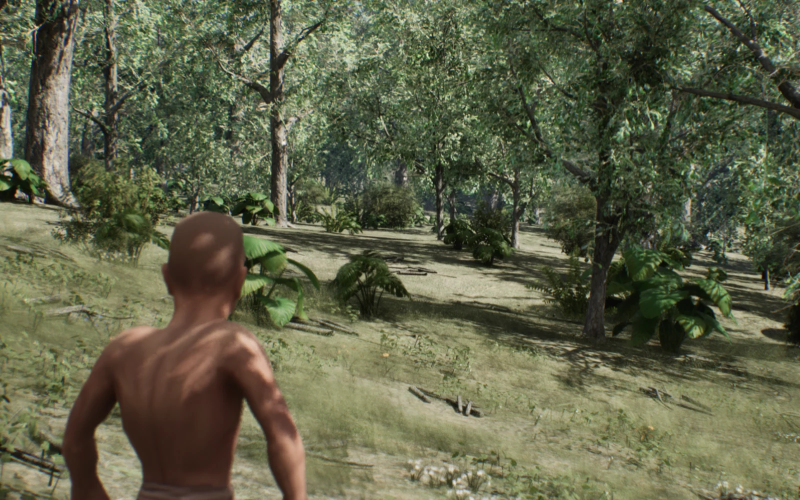 Procedural Worlds